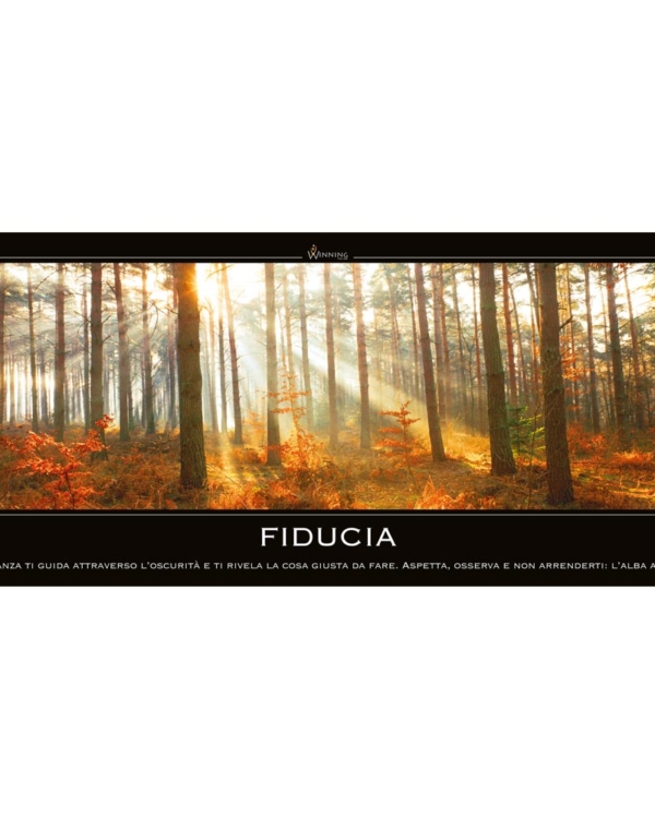 Fiducia - Bosco