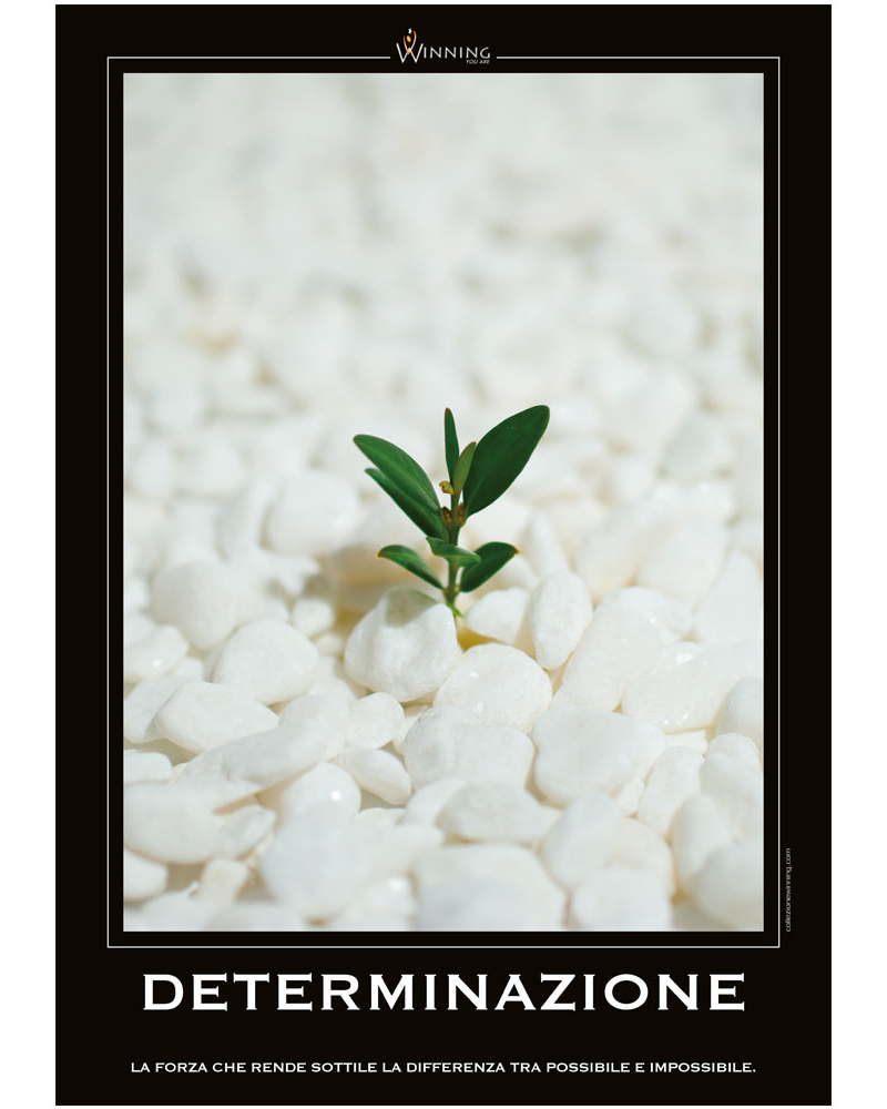 Determinazione - Piantina