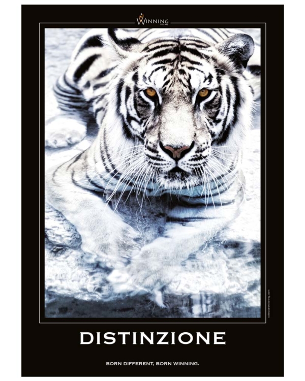 Distinzione - Tigre