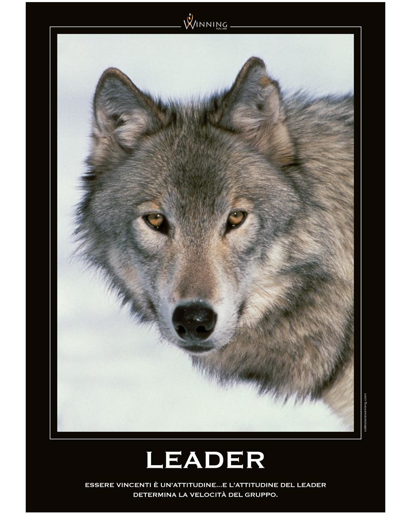 Leader - Lupo