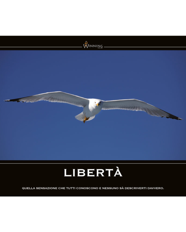 Libertà - Gabbiano