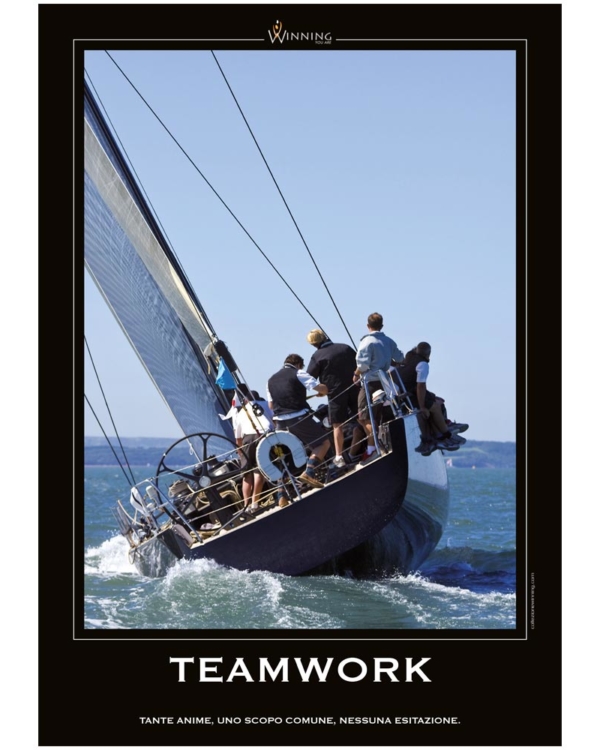 Teamwork - Vela