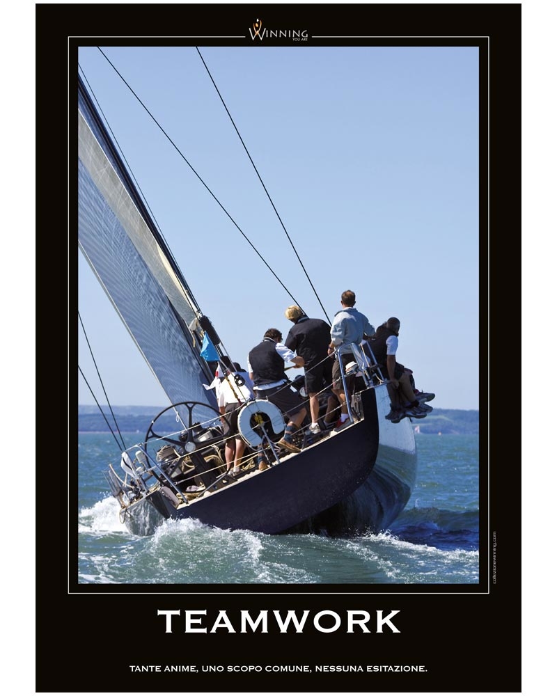 Teamwork - Vela
